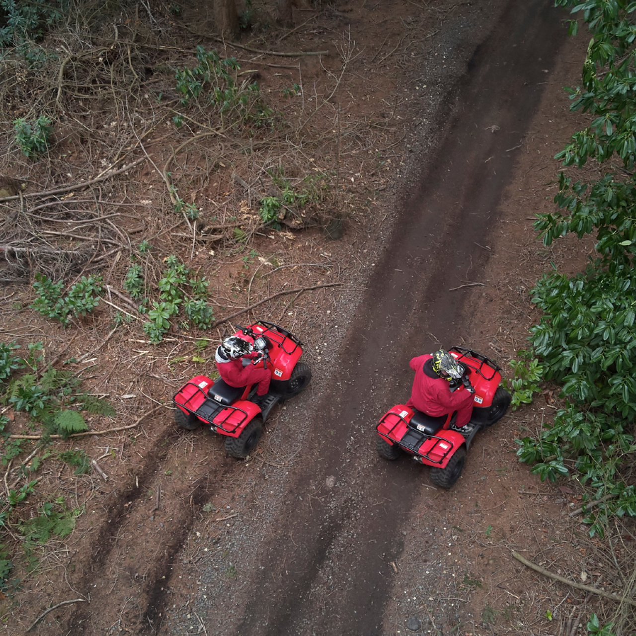 Slaley Hall TEAM BUILDING Desktop