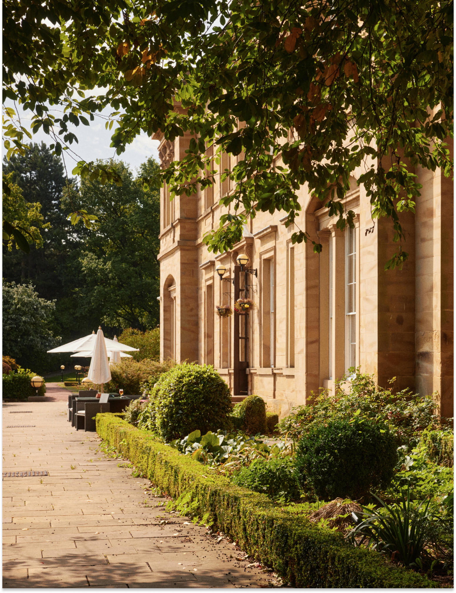 Login Desktop Banner