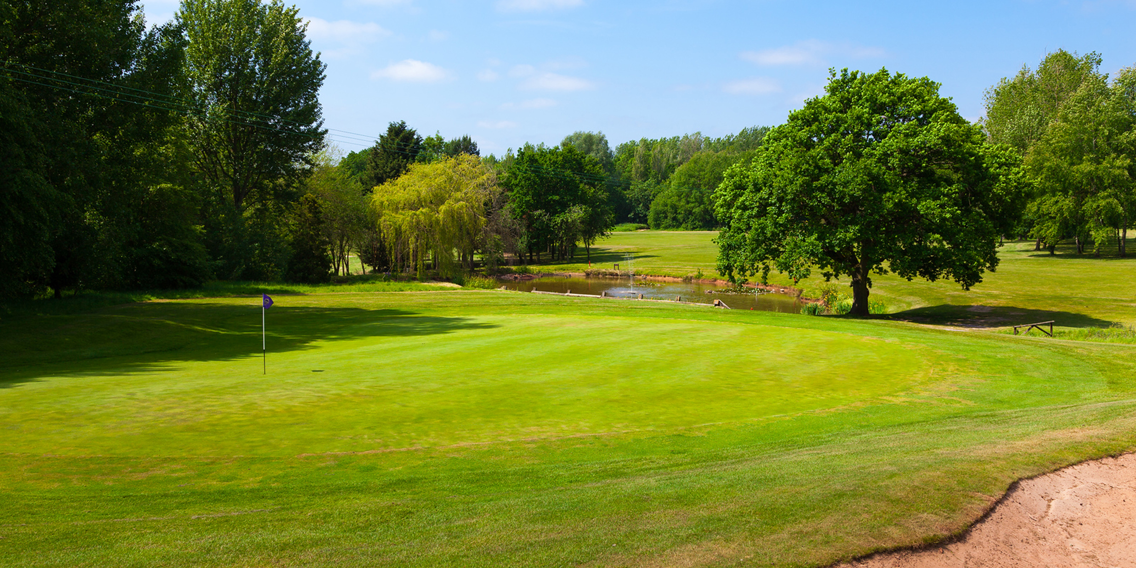 Tripadvisortestimonial Desktop